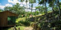 Centre of Ancestral Amazonian Medicine «Moyano» image 3